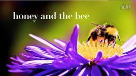 honey and the bee honey and the bee