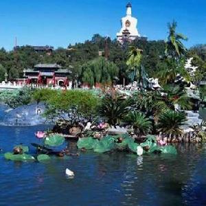 大蘆疃村 大蘆疃村