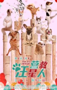 營救汪星人 營救汪星人