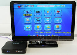 魅力中國網路電視台