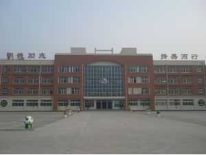 禹城市實驗國小 禹城市實驗國小