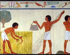 社會生活 社會生活