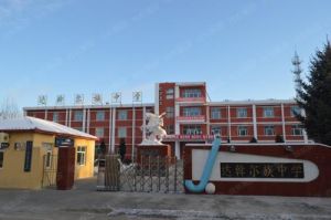 齊市梅里斯達斡爾族區臥牛吐中學 齊市梅里斯達斡爾族區臥牛吐中學