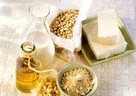 大豆製品 大豆製品