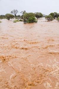 設計洪水流量 設計洪水流量