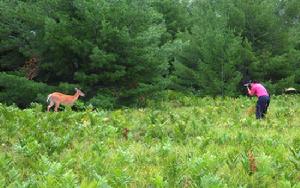 （圖）阿爾岡金省立公園