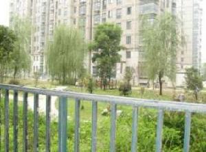 紫金東苑 紫金東苑