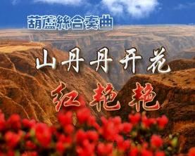 《山丹丹花開紅艷艷》 《山丹丹花開紅艷艷》