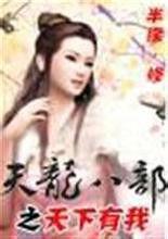 天龍八部之天下有我 天龍八部之天下有我