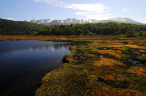 阿根廷火地島國家公園