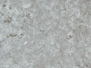 帕斯高灰 帕斯高灰