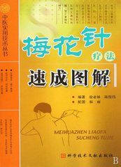 梅花針療法速成圖解