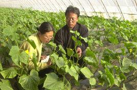 婁家店鄉 婁家店鄉