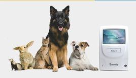 動物生化分析儀 動物生化分析儀