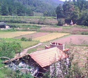 茅庵堂村 茅庵堂村