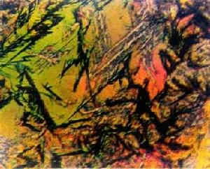 光學金相顯微術