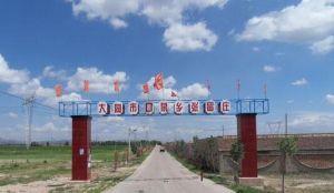 張留莊村 張留莊村