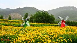 鑽石公園 鑽石公園