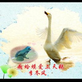 癩蛤蟆愛上天鵝 癩蛤蟆愛上天鵝