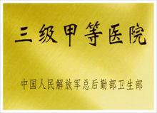 三級甲等醫院榮譽證書