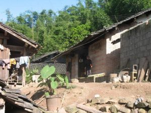 筍箐自然村 筍箐自然村