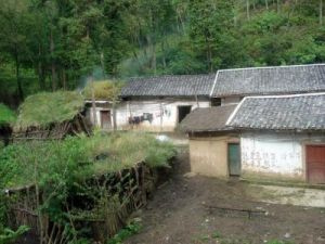 黃河自然村 黃河自然村