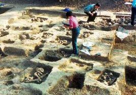 頂螄山遺址 頂螄山遺址