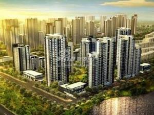 武夷城市左岸 武夷城市左岸