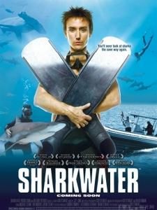 鯊魚海洋 鯊魚海洋