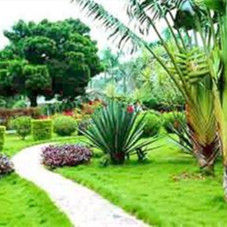 湛江南亞熱帶植物園