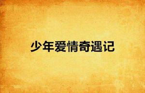 少年愛情奇遇記