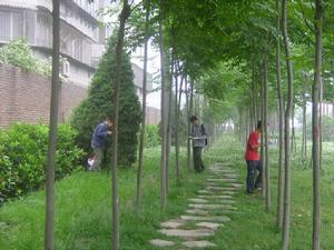 環境科學系 環境科學系