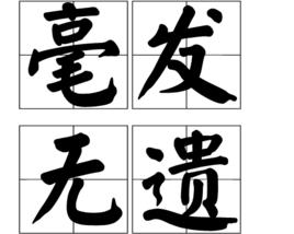 毫髮無遺 毫髮無遺