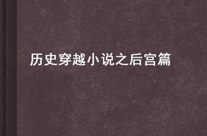 歷史穿越小說之後宮篇 歷史穿越小說之後宮篇
