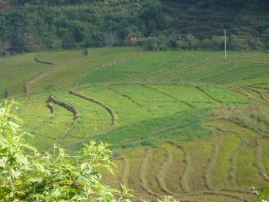 罵臘自然村 罵臘自然村