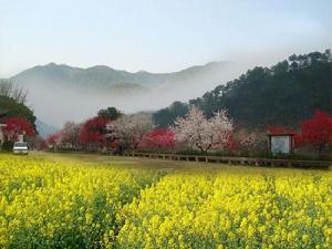 歙縣雄村景區