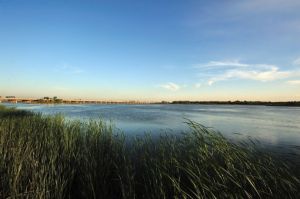 冀中平原 冀中平原