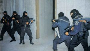 西班牙國家警察人質營救小組 西班牙國家警察人質營救小組