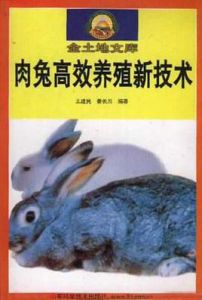 肉兔高效養殖新技術
