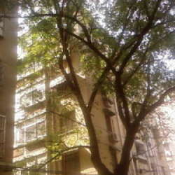 水佐崗小區 水佐崗小區