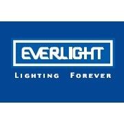 億光電子工業股份有限公司