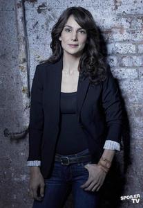 追隨[2013年起馬科斯·西恩加執導美國電視劇]