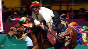 青海藏族賽馬 青海藏族賽馬