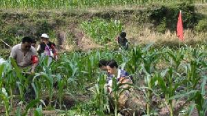 普濟鎮[四川省旺蒼縣]