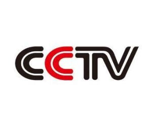 中央電視台[中國中央電視台]