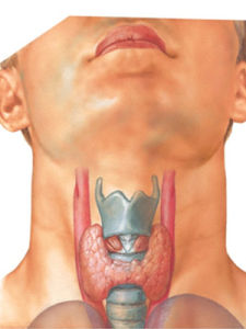 甲狀腺腺瘤 甲狀腺腺瘤