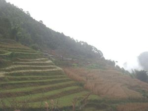 小黑坡自然村 小黑坡自然村