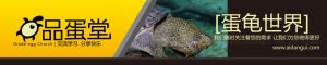品蛋堂-蛋龜世界 品蛋堂-蛋龜世界
