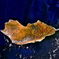 索科特拉島 索科特拉島