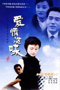 愛情的滋味[楊亞洲執導電視劇]